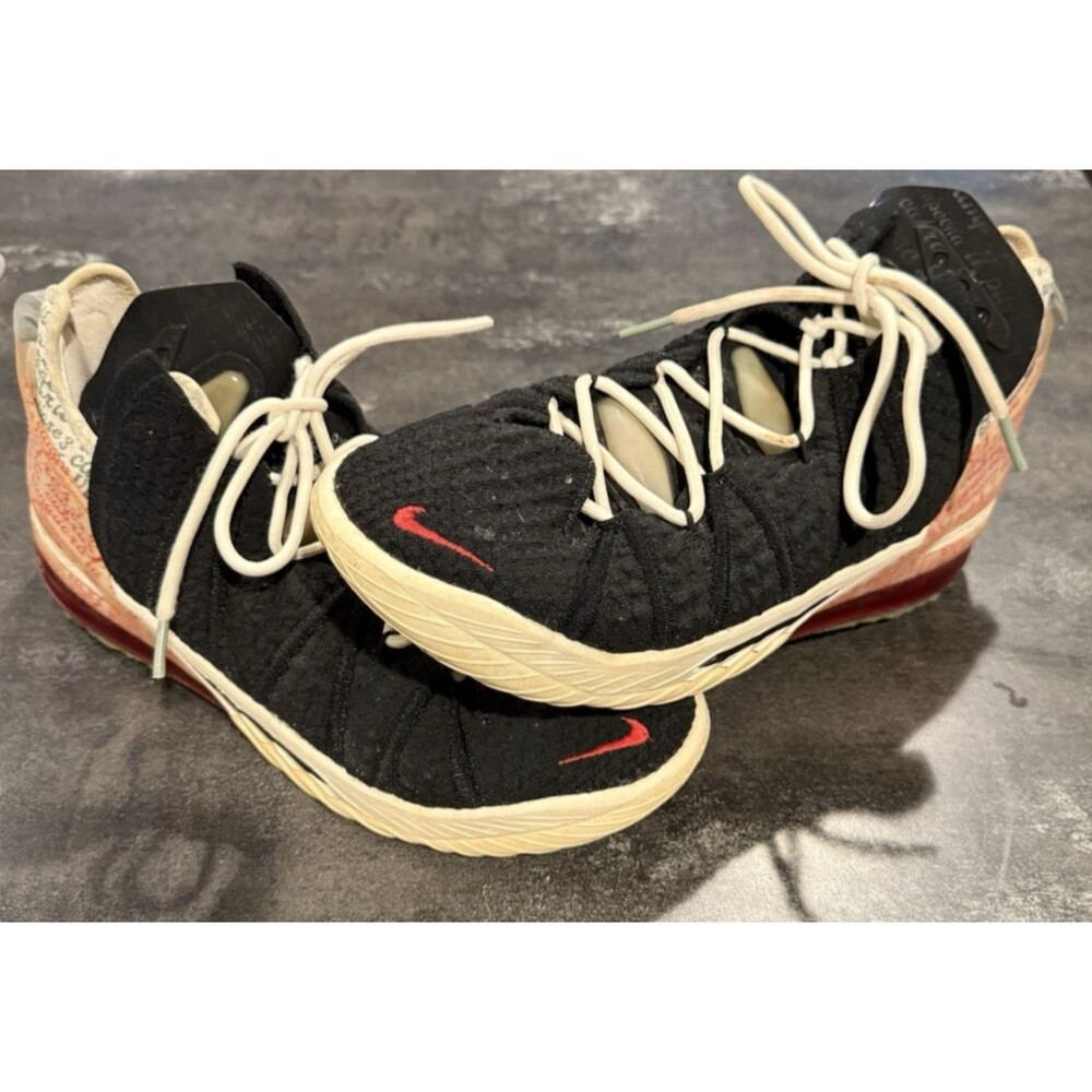 Nike Lebron x Diana Taurasi 18 - GOAT - Sz 11 - Men's - XVIII - CQ9283 008